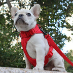 DDPaws  Lightweight Dog Harness