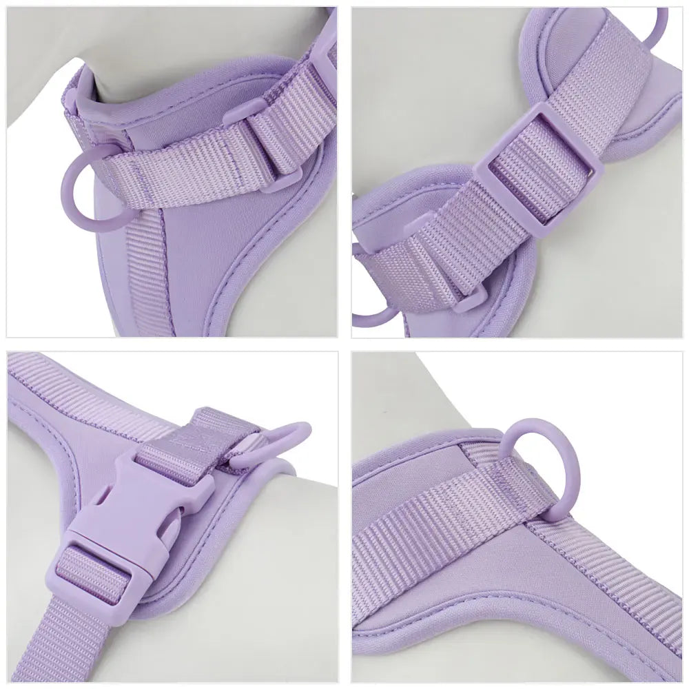 DDPaws  Lightweight Dog Harness