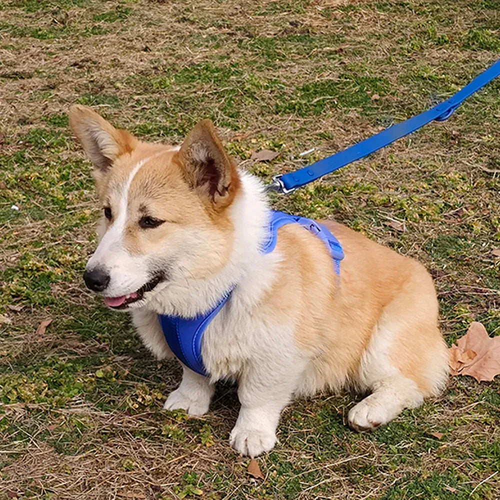 DDPaws  Lightweight Dog Harness