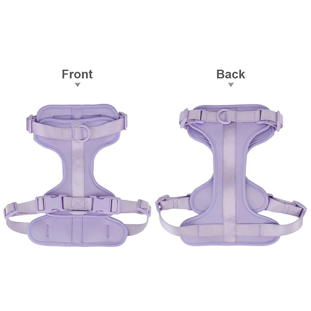 DDPaws  Lightweight Dog Harness