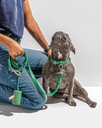 DDPaws  Lightweight Waterproof Walking Set