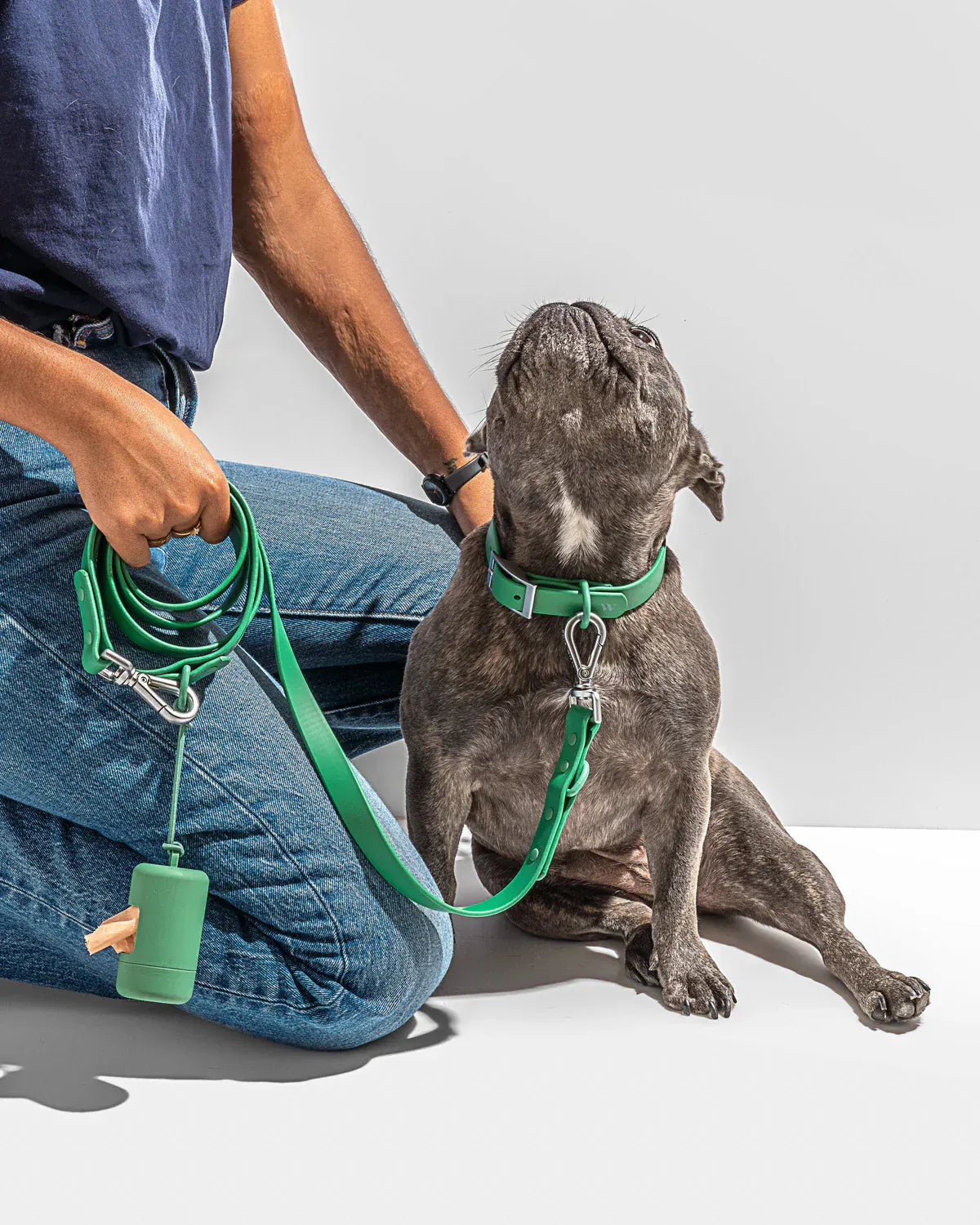 DDPaws  Lightweight Waterproof Walking Set