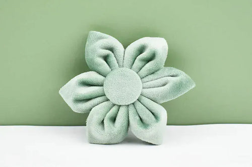 DDPaws  Matching Color Poop Bag Holder (Add-On) – Image for Illustration