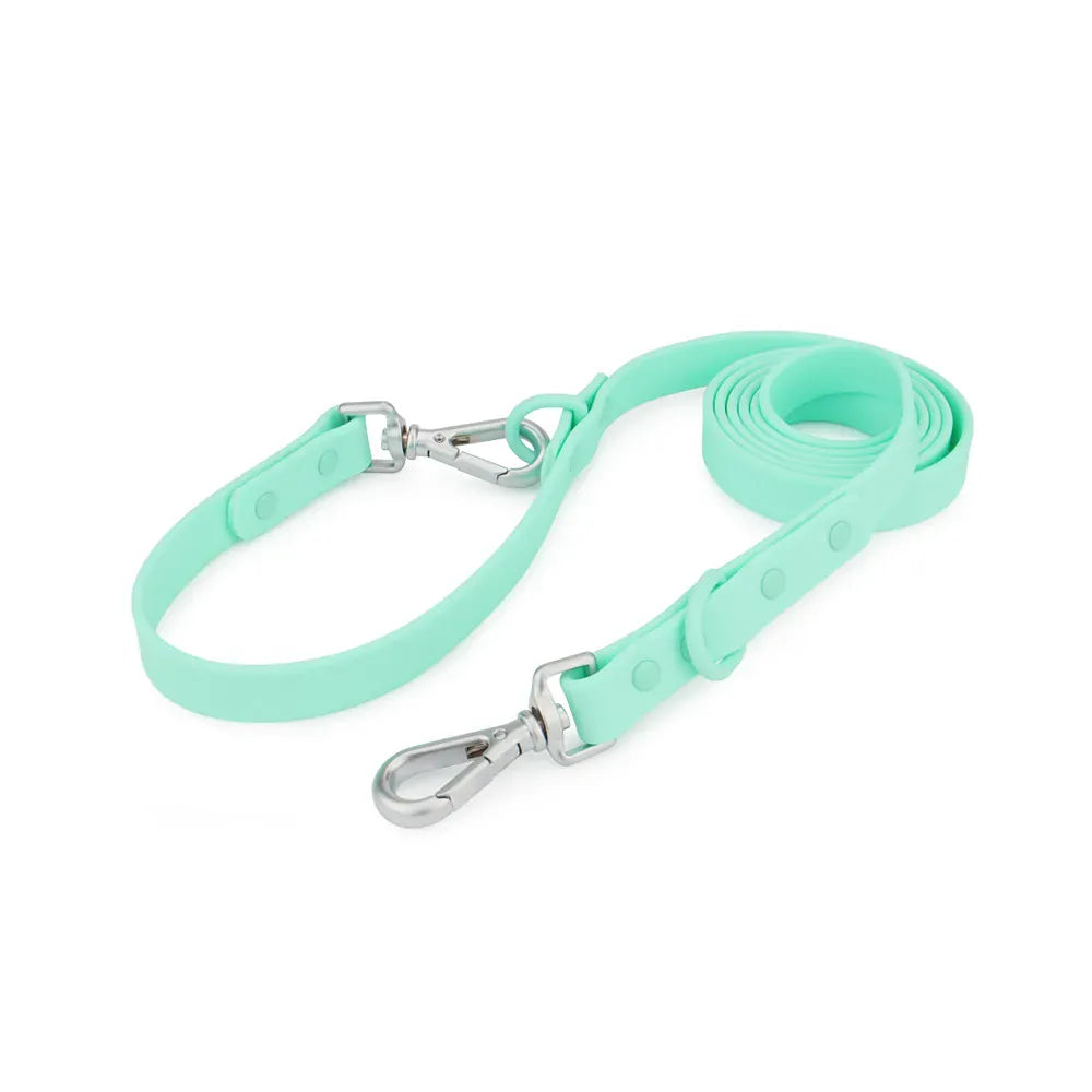 DDPaws  Mint Green / 1.8mx19mm Waterproof Pet Leash