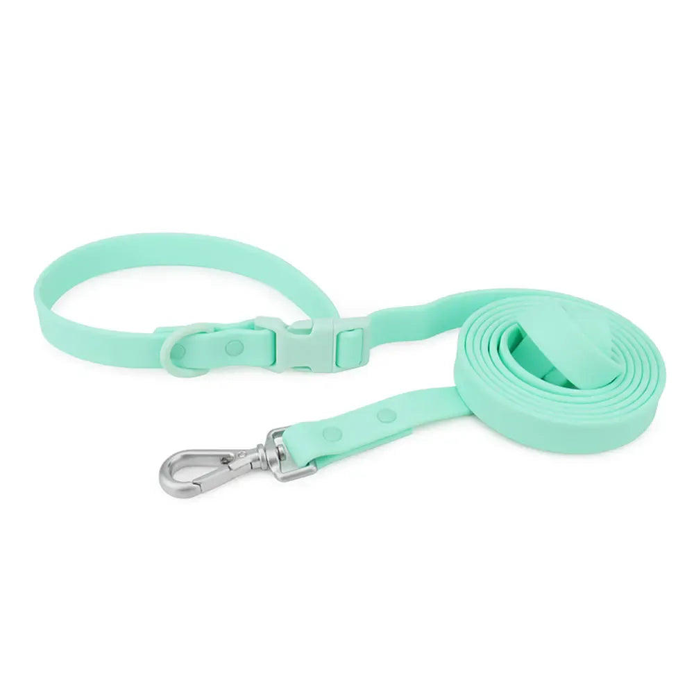 DDPaws  Mint Green PVC Hands-Free Dog Leash