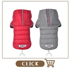 DDPaws  Personalized Dog Tags Engraved Cat Puppy Pet ID Name Collar Tag Pendant Pet Accessories Bone/Paw Glitter