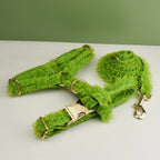 DDPaws  Personalized Green Lace Floral Classic Set