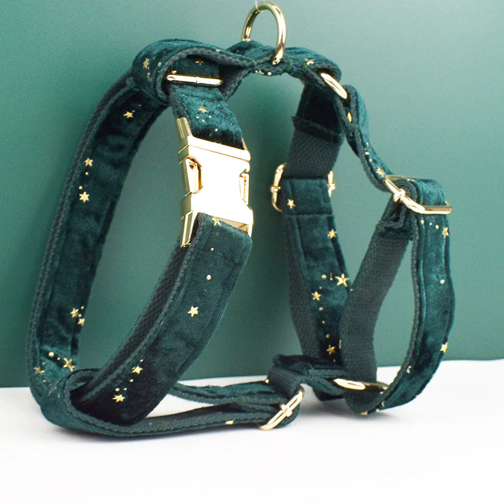 DDPaws  Personalized Green Velvel Floral Classic Set