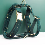 DDPaws  Personalized Green Velvel Floral Classic Set