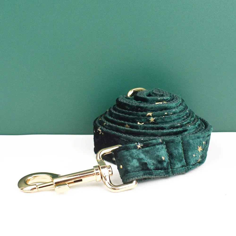 DDPaws  Personalized Green Velvel Floral Classic Set