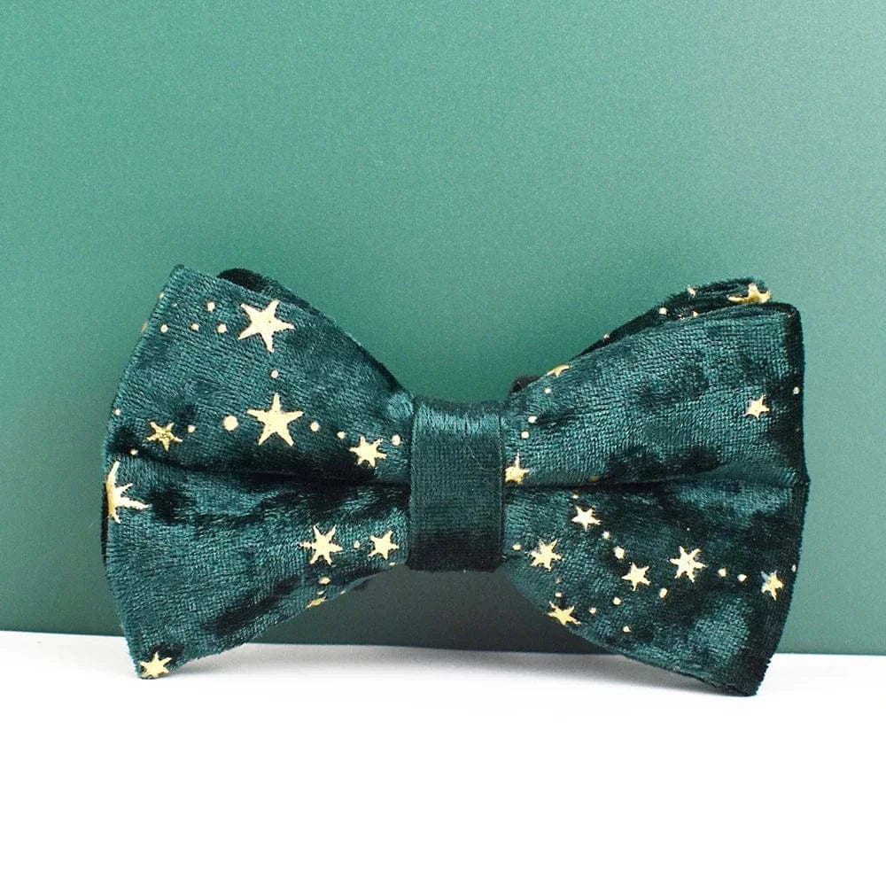 DDPaws  Personalized Green Velvel Floral Classic Set