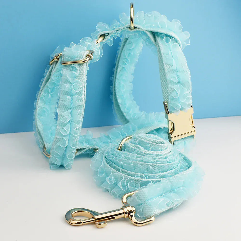 DDPaws  Personalized Light Green Lace Classic Set