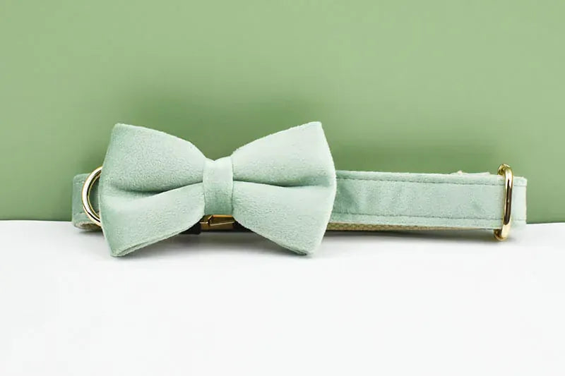 DDPaws  Personalized Mint Green Velvet Classic Set
