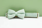 DDPaws  Personalized Mint Green Velvet Classic Set