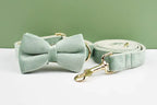 DDPaws  Personalized Mint Green Velvet Classic Set