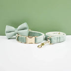 DDPaws  Personalized Mint Green Velvet Classic Set
