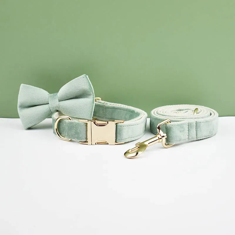 DDPaws  Personalized Mint Green Velvet Classic Set