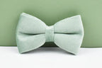 DDPaws  Personalized Mint Green Velvet Classic Set
