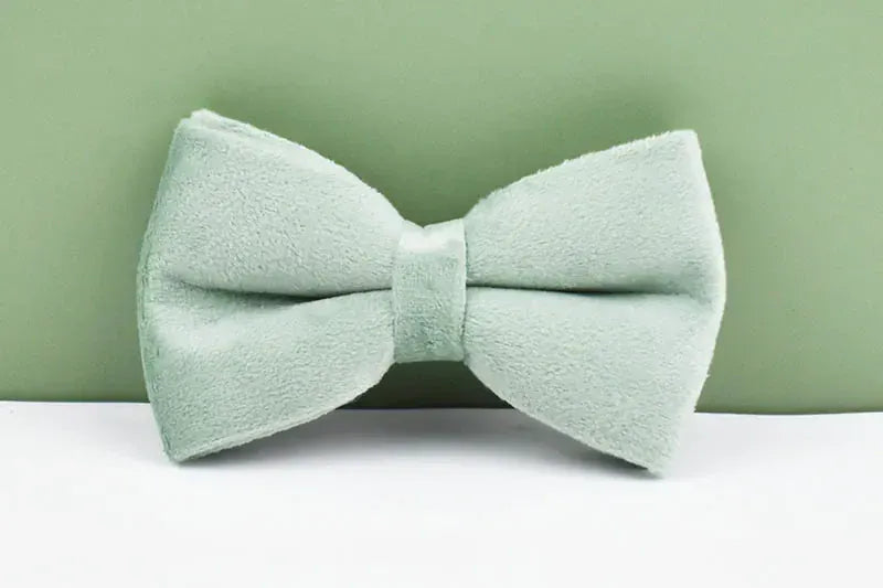 DDPaws  Personalized Mint Green Velvet Classic Set