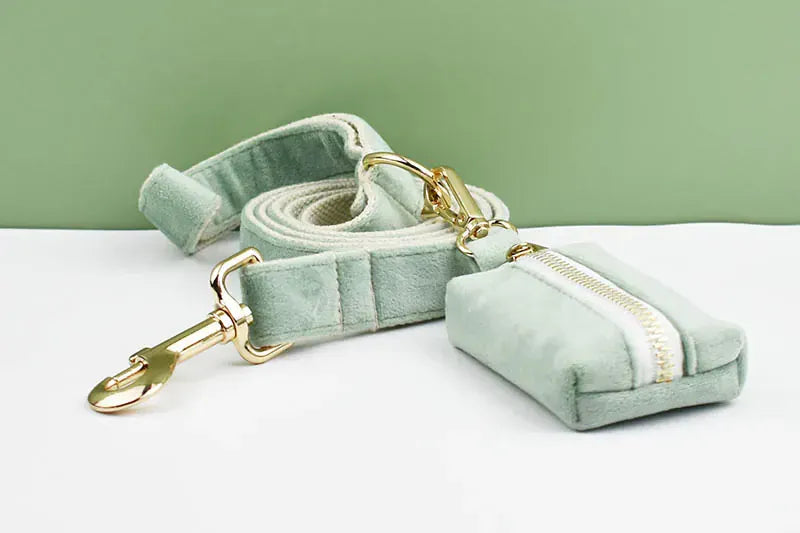 DDPaws  Personalized Mint Green Velvet Classic Set