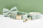 DDPaws  Personalized Mint Green Velvet Classic Set