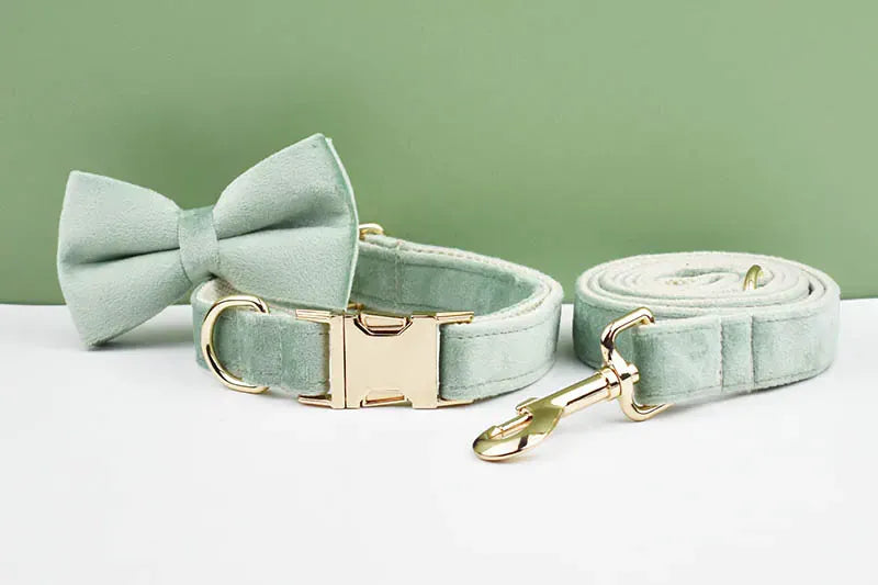 DDPaws  Personalized Mint Green Velvet Classic Set