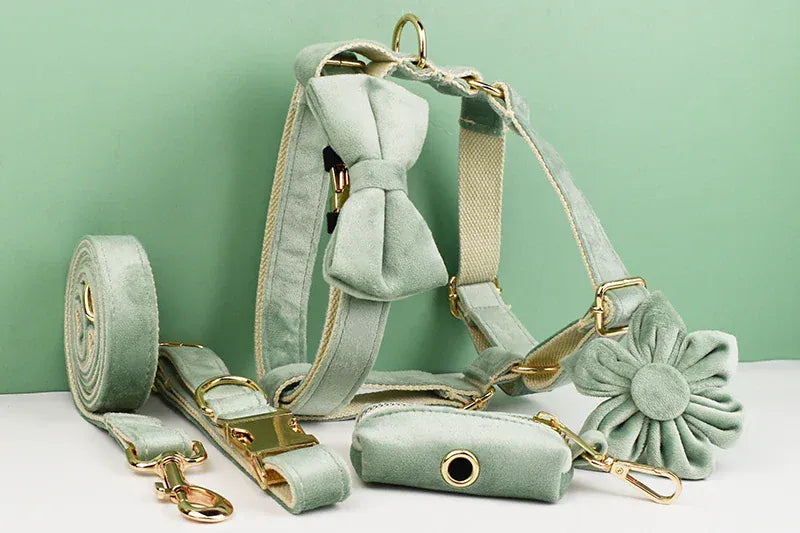 DDPaws  Personalized Mint Green Velvet Classic Set