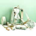 DDPaws  Personalized Mint Green Velvet Classic Set