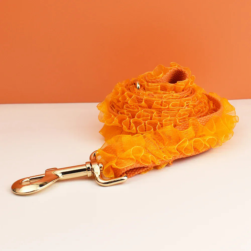 DDPaws  Personalized Orange Lace Classic Set