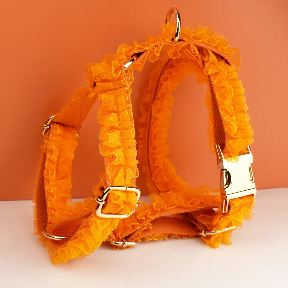 DDPaws  Personalized Orange Lace Classic Set