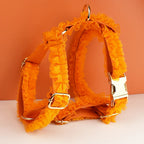 DDPaws  Personalized Orange Lace Classic Set