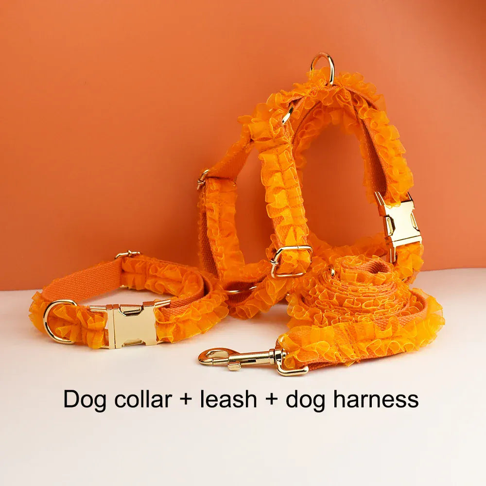 DDPaws  Personalized Orange Lace Classic Set
