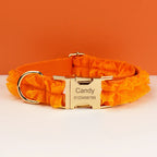 DDPaws  Personalized Orange Lace Classic Set