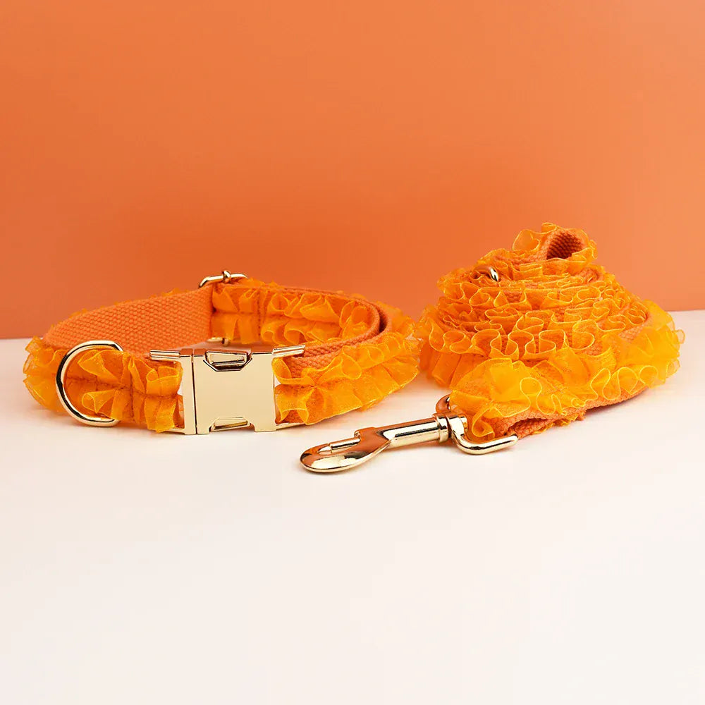 DDPaws  Personalized Orange Lace Classic Set