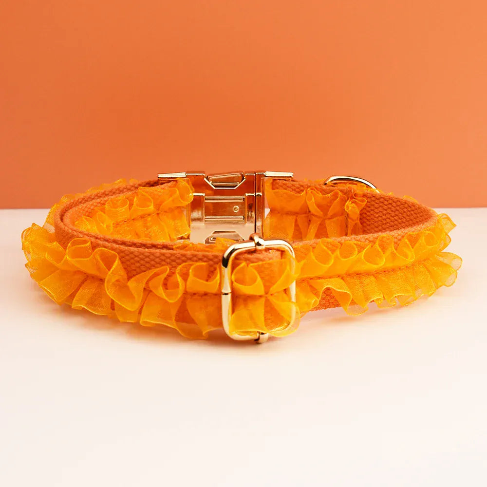 DDPaws  Personalized Orange Lace Classic Set