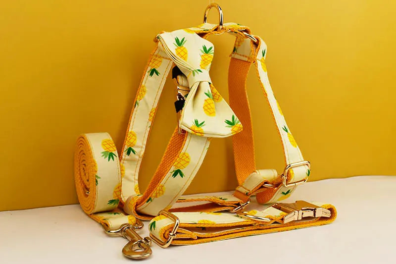 DDPaws  Personalized Pineapple Print Cotton Classic Set