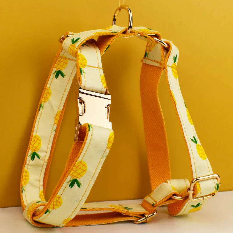 DDPaws  Personalized Pineapple Print Cotton Classic Set