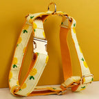 DDPaws  Personalized Pineapple Print Cotton Classic Set