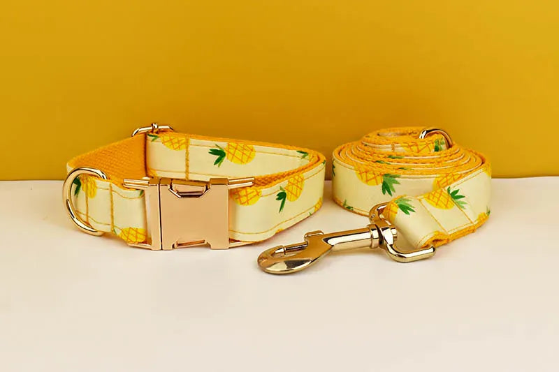 DDPaws  Personalized Pineapple Print Cotton Classic Set