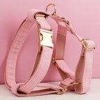 DDPaws  Personalized Pink Plaid Classic Set