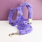 DDPaws  Personalized Purple Lace Classic Set