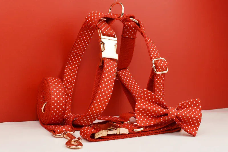 DDPaws  Personalized Red Velvet Dog Collar Classic Set
