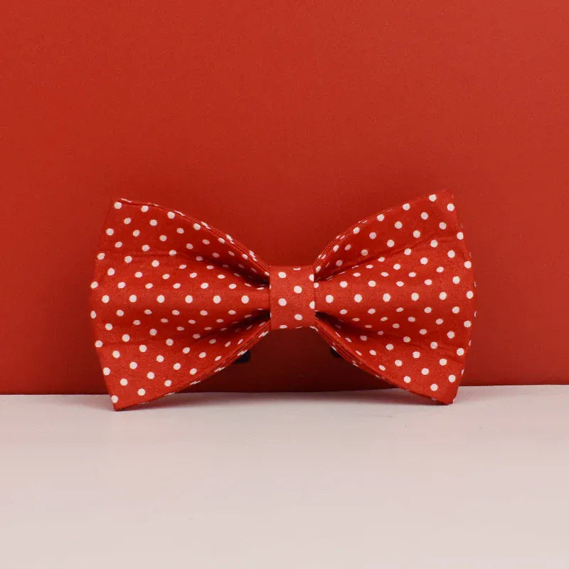 DDPaws  Personalized Red Velvet Dog Collar Classic Set