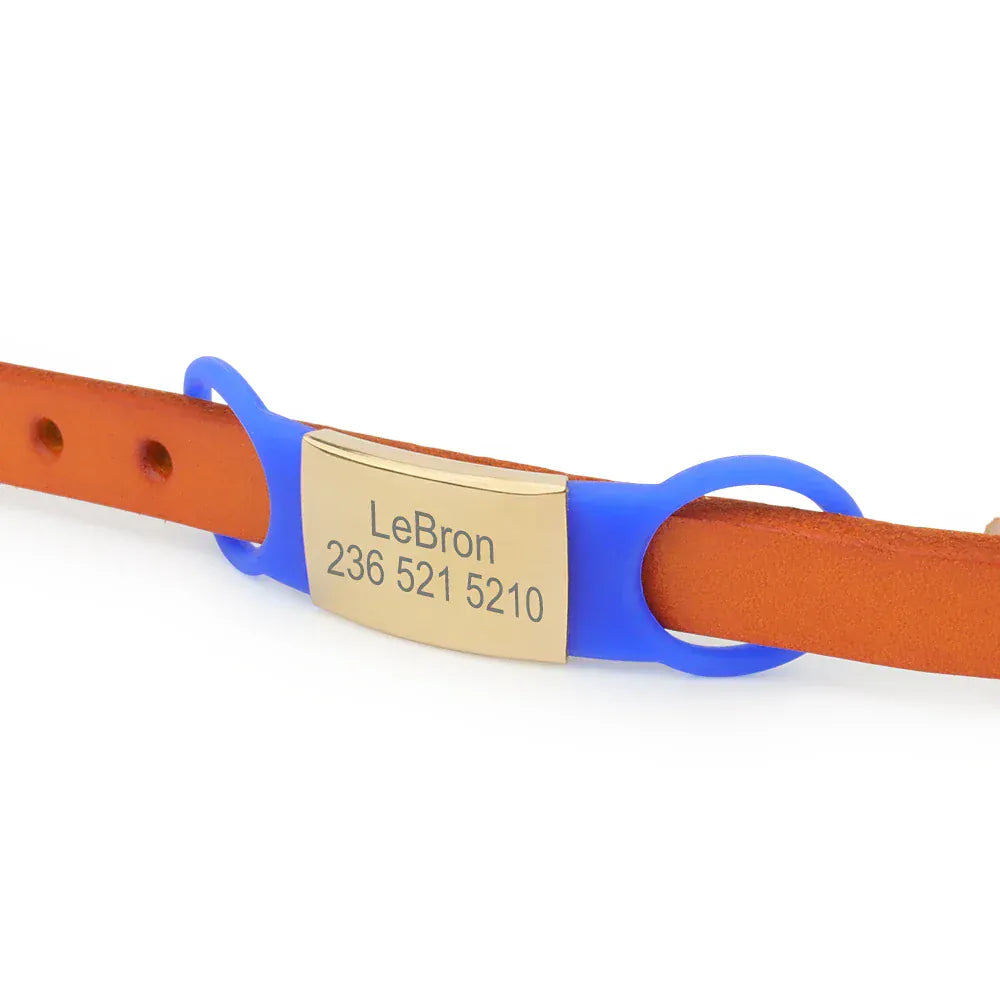 DDPaws  Personalized Silicone Pet ID Tag