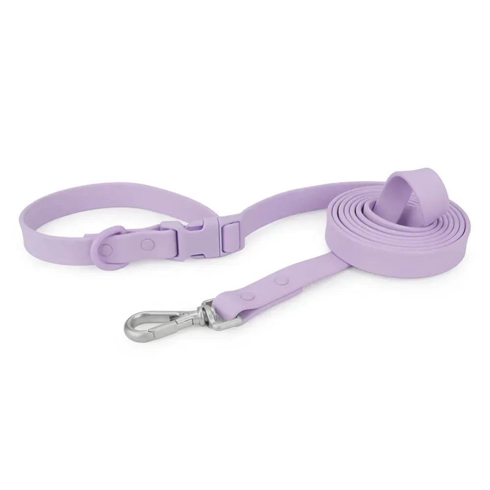 DDPaws  Purple PVC Hands-Free Dog Leash