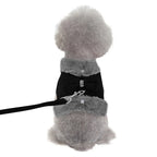 DDPaws  Warm Fur Puppy Dog Harness Leash Cute Bowknot Dogs Cat Harnesses Padded Pet Vest With Matching Lead Rope For Dogs Cats Winter