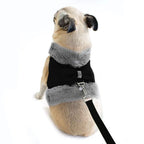 DDPaws  Warm Fur Puppy Dog Harness Leash Cute Bowknot Dogs Cat Harnesses Padded Pet Vest With Matching Lead Rope For Dogs Cats Winter