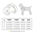 DDPaws  Warm Fur Puppy Dog Harness Leash Cute Bowknot Dogs Cat Harnesses Padded Pet Vest With Matching Lead Rope For Dogs Cats Winter