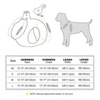 DDPaws  Winter Warm Dog Harness Leash Set Soft Plush Cat Puppy Vest For Small Medium Dogs Chihuahua Yorkie Harnesses With Matching Lead