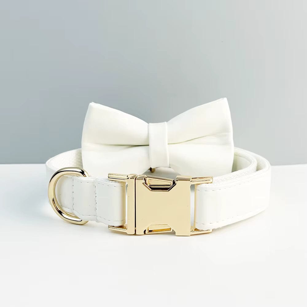 D&D Paws  Bowtie Collar / XS White Leather Set